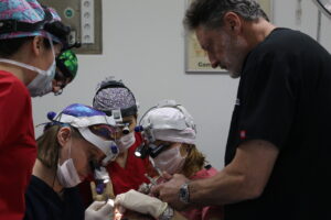 Supervising surgeon guiding a trainee during FUE training at HLC Hairline Clinic, Ankara